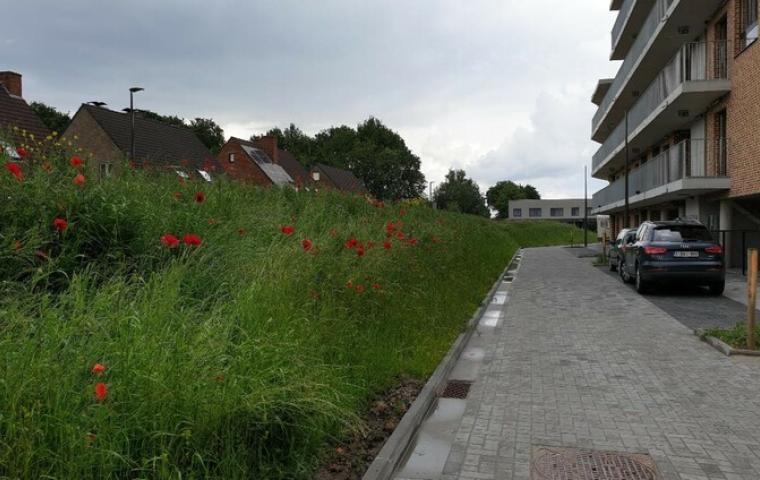 Woonerf Mahatma Gandhiwijk