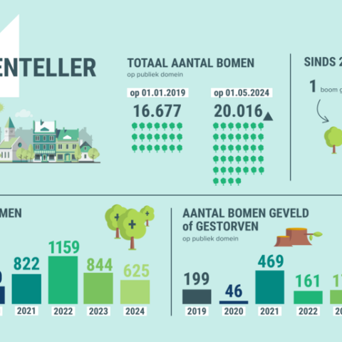 Infographic bomenteller Mechelen, globaal
