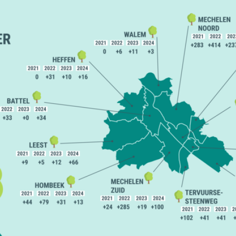 Infographic bomenteller Mechelen, wijken