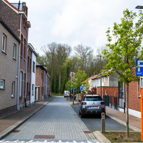 Sint-Albertuswijk